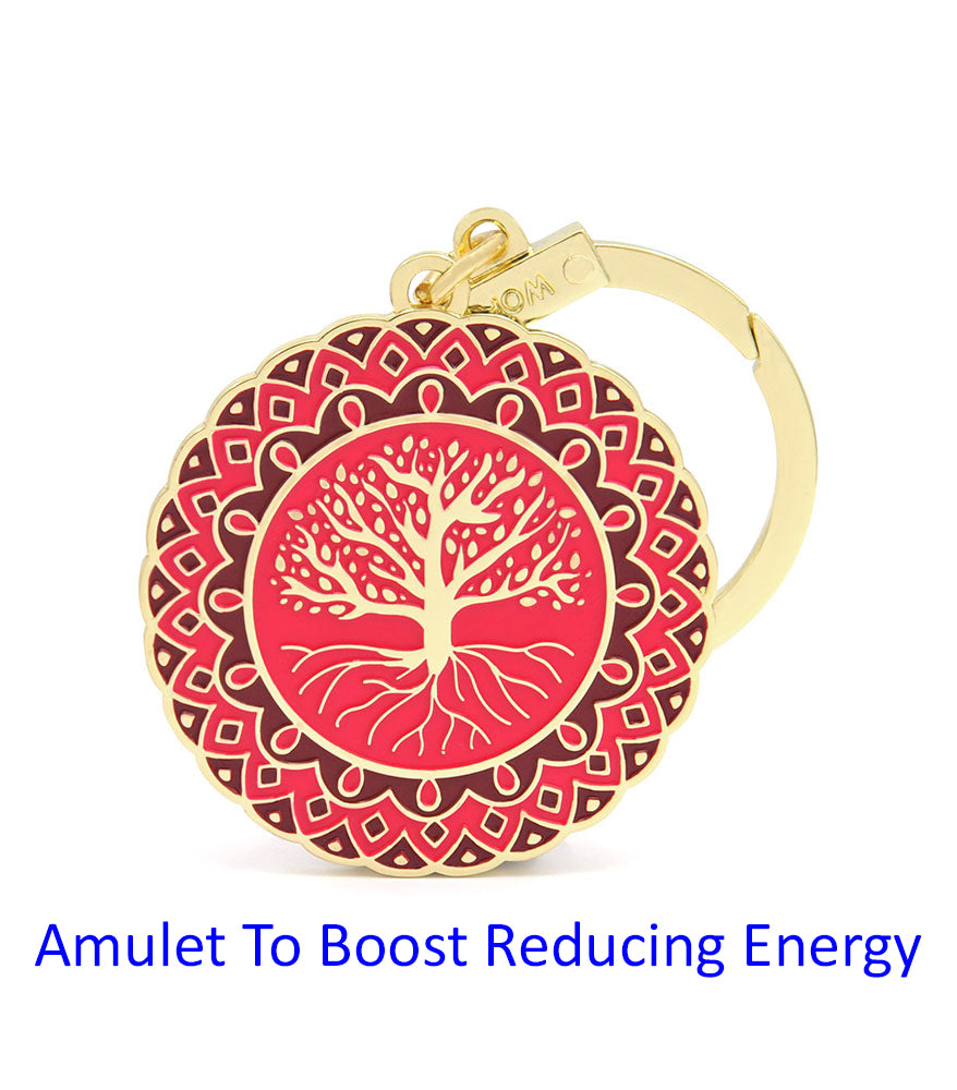 6828 - Amulet To Boost Reducing Energy